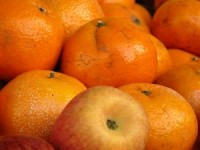 برتقال به نقرا الطيور www.sxc.hu